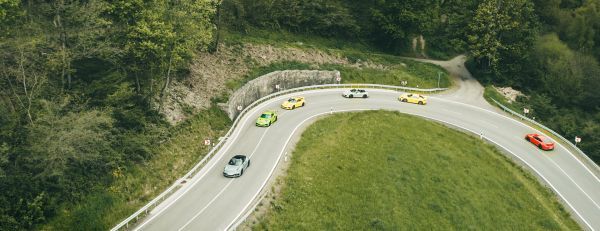 Porsche Fahrzeuge auf einer Waldstrecke.